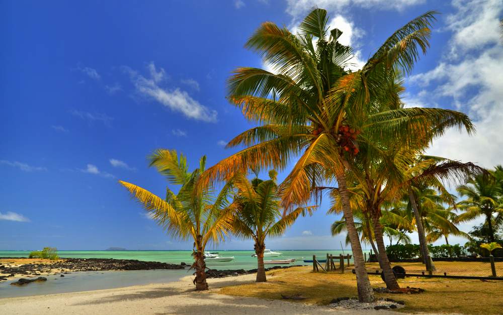 Mauritius opinie - plaża Grand Gaube