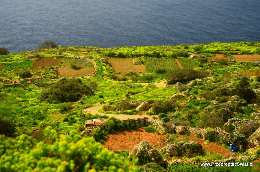 Malta - krajobraz