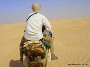Wielbłądem przez Saharę