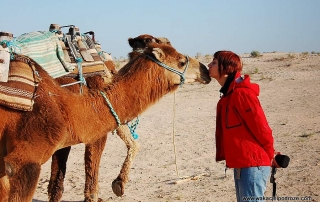 Pociągi w Tunezji i wielbłądy