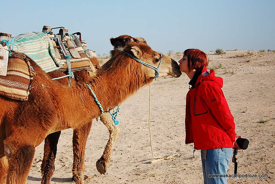 Pociągi w Tunezji i wielbłądy