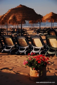 Hotel Iberostar Fouty Beach - plaża