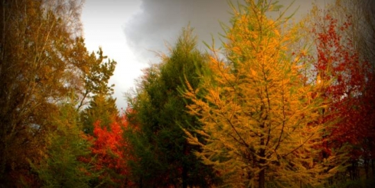 Szlaki turystyczne na Pomorzu - jesień w Polanowie