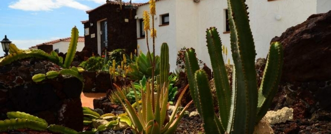 Los Cristianos najlepszy kurort na Teneryfie ?