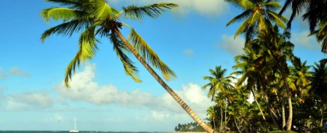 Najpiękniejsze plaże na Dominikanie - Last Terrenas