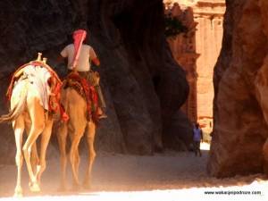 Co zwiedzać w Jordanii ? Petra