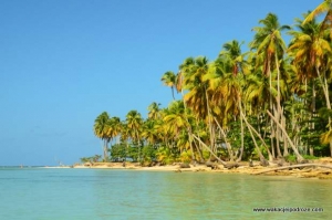 Dominikana plaża Playa Bonita