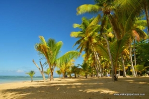 Plaża w Las Ballenas