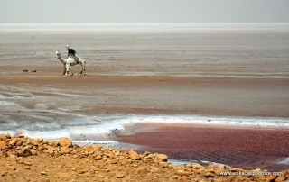 Słone jezioro w Tunezji