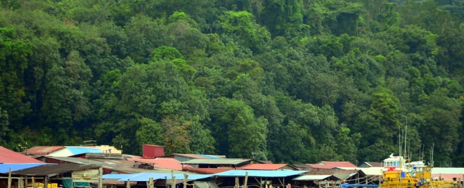 Wyspa Pangkor
