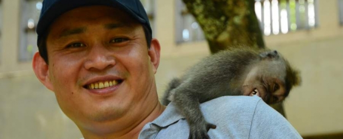 Monkey Forest