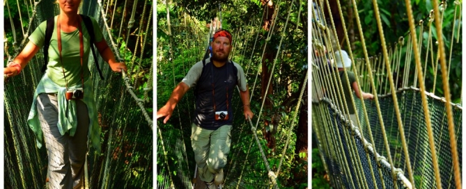 Malezja Taman Negara