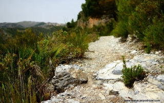 Rio Verde - Hiszpania