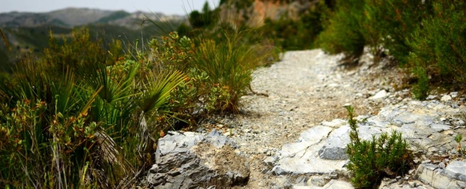 Rio Verde - Hiszpania