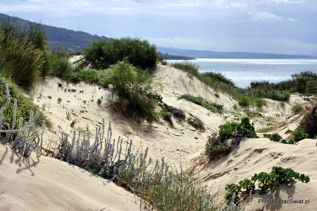 Andaluzja - Valdevaqueros