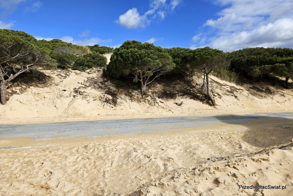 Droga do Valdevaqueros
