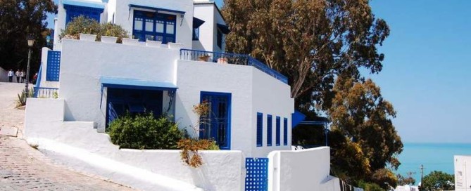 Wycieczka do Sidi Bou Said