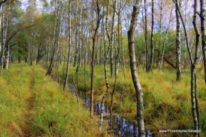 Słowiński Park Narodowy