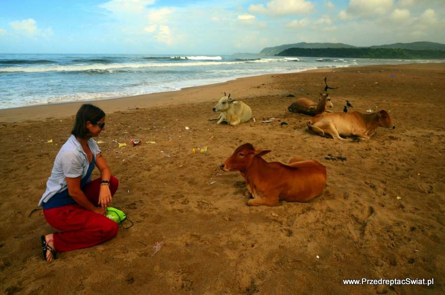 południowe Goa plaże - Agonda