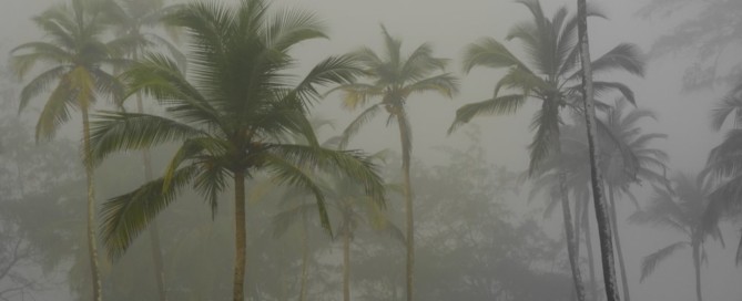 Pogoda na Goa