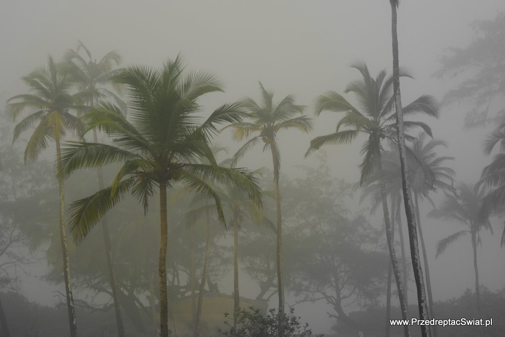 Pogoda na Goa
