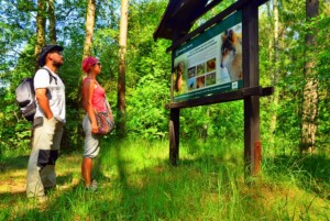 Wielkopolska - szlaki piesze