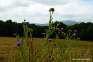 Wycieczka do Beglik Tash