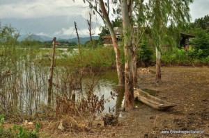 Północna Tajlandia - zwiedzanie Phayao