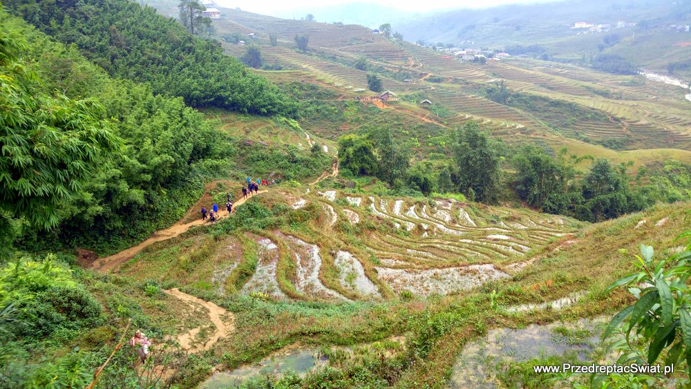Wietnam pola ryżowe Sapa