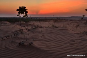 White Sands Dune - Mui Ne