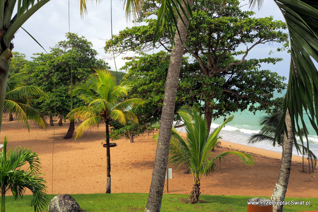 plaże na Karaibach - Gwadelupa