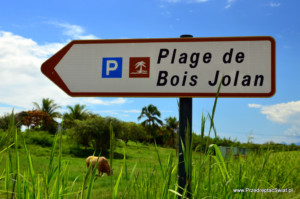 najlepsxze plaże na gwadelupie - bois jolan