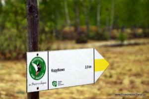 Biebrzański Park - żółty szlak z Kopytkowa
