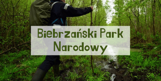 Czy Warto Pojechać do Biebrzańskiego Parku Narodowego?