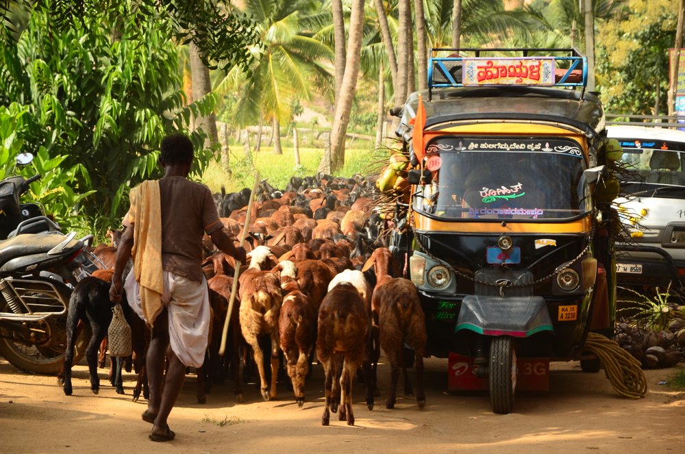 Indie - transport - tuk-tuk w Hampi