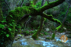 Okolice Turunc - Turgut Falls