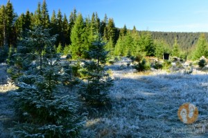 Transalpina we wrześniu