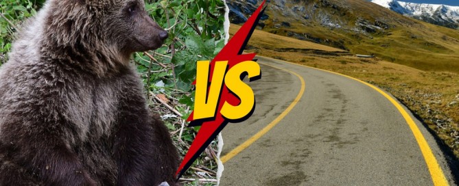 Droga Transfogaraska czy Transalpina? Która lepsza?