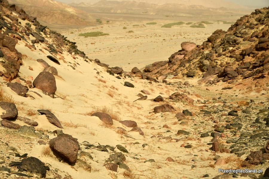 Egipt - Marsa Alam - Wadi el Gemal