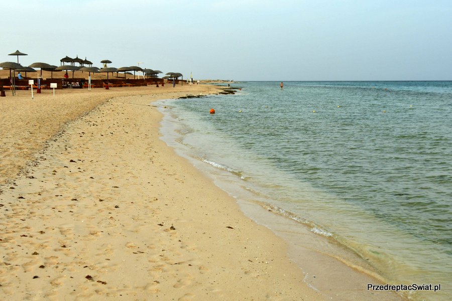 Plaża w hotelu Gorgonia w Marsa Alam w Egipcie